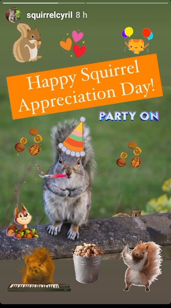 #squirrelsofinstagram 😀😍💖🐿️🐿️🌿#SquirrelAppreciationDay