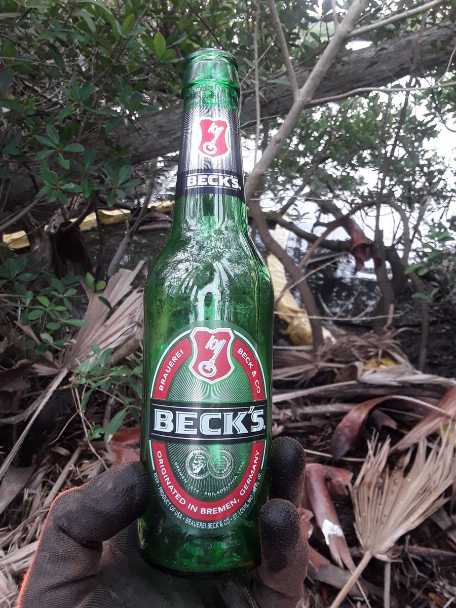 TJRPitt's tweet image. Continuing to dig into(#strangestfinds @CornishSpliced🧐) the never ending #Litter problem at #Clearwater's #StevensonCreek.
👌#Earthcleanup bags today(50🚮 in 2023🌎)
📸2- typical #plasticpollution wreckage in the #Mangroves😏
📸3- Wouldn't be a #Litterpick without a Beck's🍻🙂