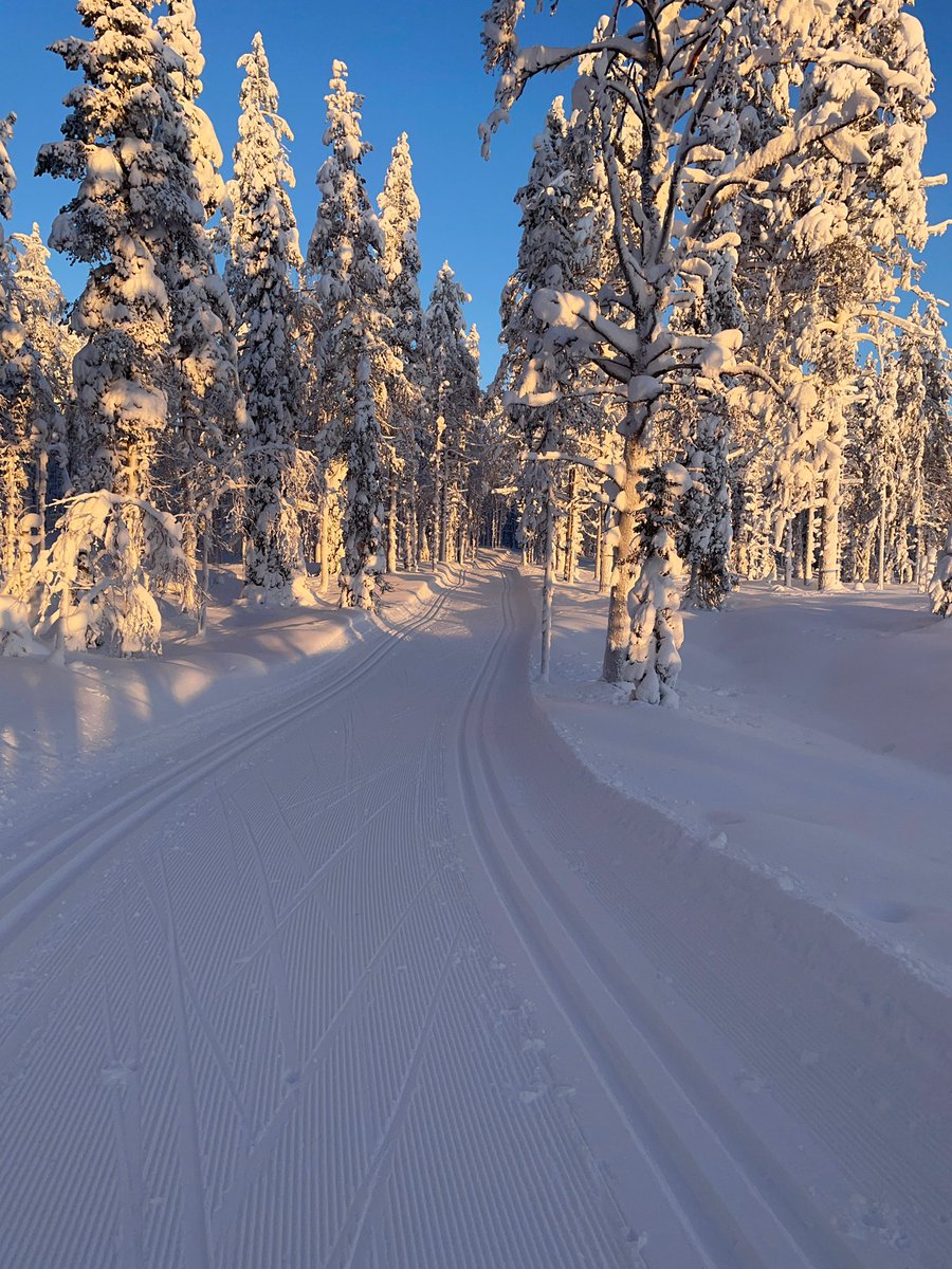 Ihmisen on hyvä hiihdellä täällä Lapissa. Kaamos taittunut kohti valoa.