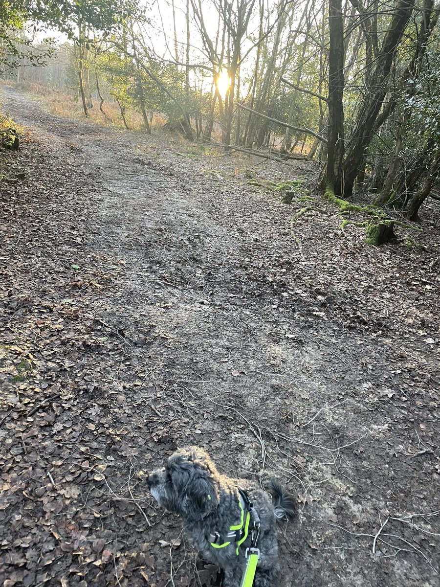 catmckeever's tweet image. 8000 steps whilst listening to @lcctchr and @brightmorningtm The PD book 👏PARTY purpose, audience, routine, technique, you. Well worth a read/listen #ourNCEjourney @WomenEd #oneTKATfamily @TKATLDN