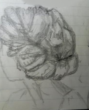 SailorTree's tweet image. 