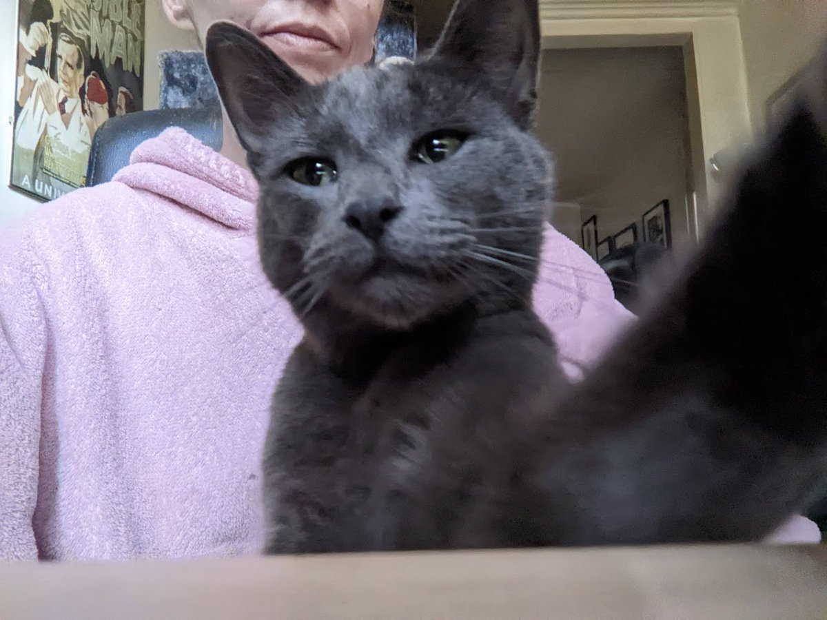 Mari Biscuits tweet media