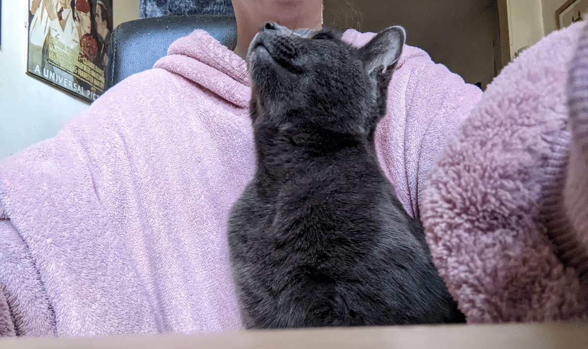 Mari Biscuits tweet media