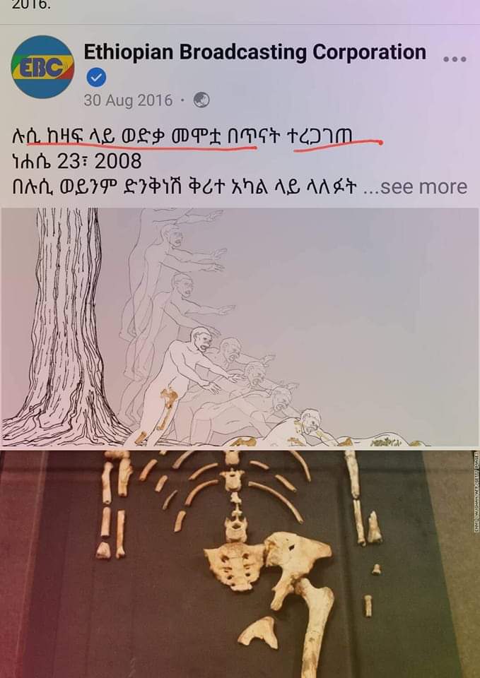 Queenie ነገደ ዐማራ 🦅🦁 tweet media