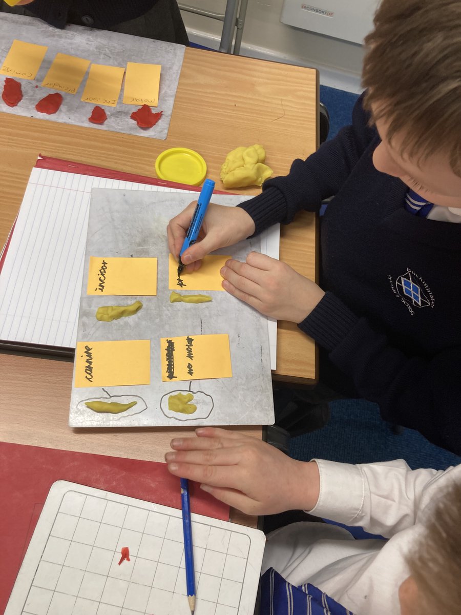 Buckminster Primary tweet media