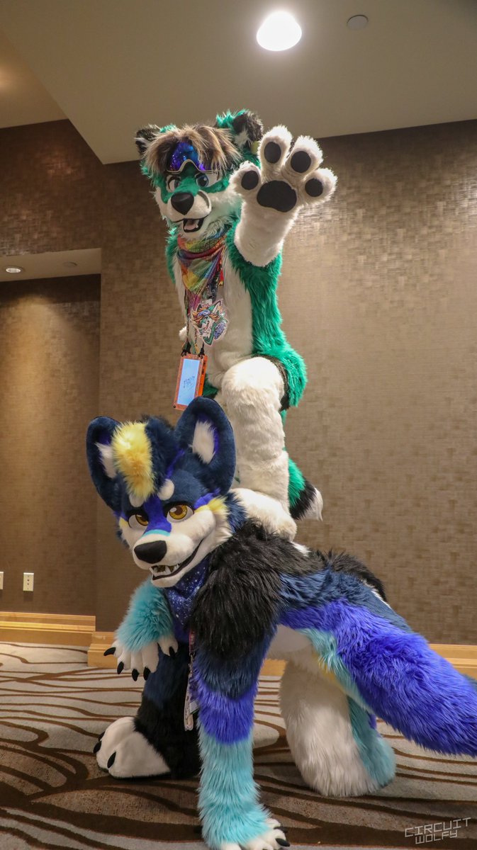 CircuitWolfy's tweet image. Super awesome to finally meet @JibKodi! I always wanted to see him!

📍#FC2023 #FurtherConfusion