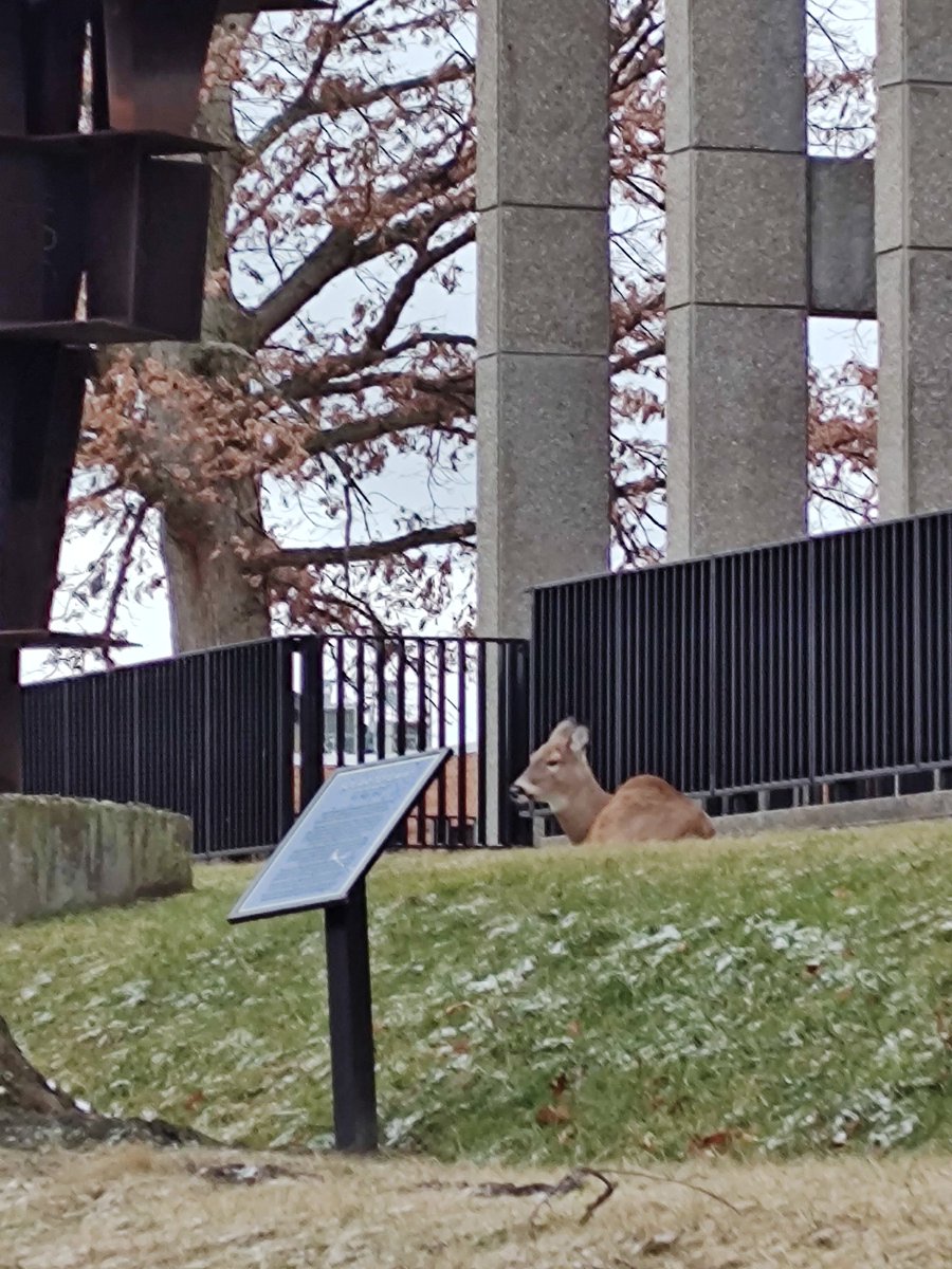 Brad Baker tweet media