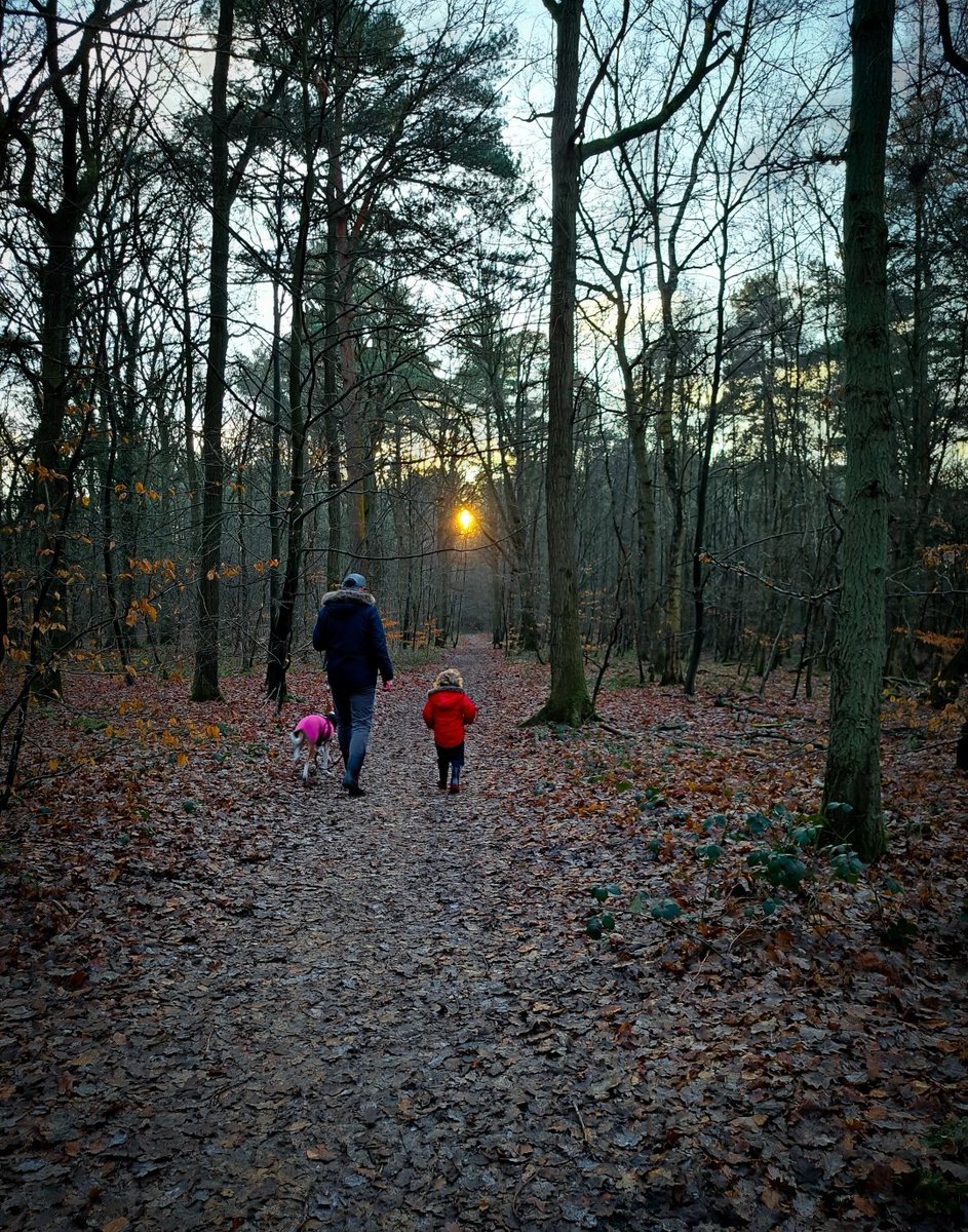 My loves ❤️ 

#myloves #littleloves #Saturday #SaturdayVibes #SaturdayMood #weekend #weekendvibes #countryliving #forest #forestwalks #family