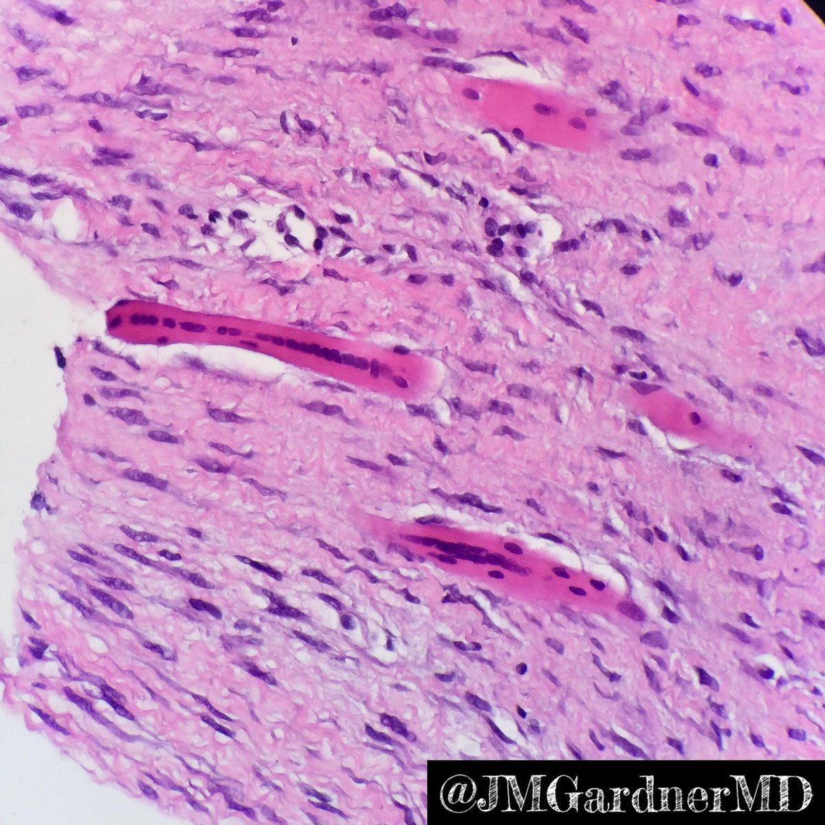 Jerad Gardner, MD tweet media