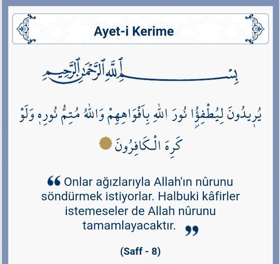 AkPartiReis2023's tweet photo. Ağır olacak ama yazacağım. 
Bu hamam evlâdı, yani mastürbasyon çocuğu kitap yakmayı fikir özgürlüğü zannediyor. Ulan pinç, yaptığın hareket karşı tarafa düpedüz saldırı. Ulan size Hitler, Mussolini gerekiyormuş. Size Lenin, Stalin lâzımmış. 
ŞERREFSİZ https://t.co/DLNqAcHEOb