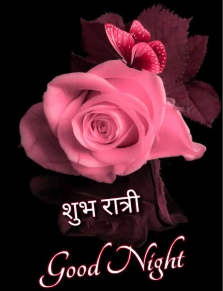 ChandanGoldar9's tweet image. Good night ❤❤❤❤❤