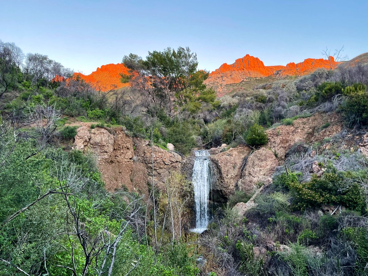 Dawn Megli tweet media