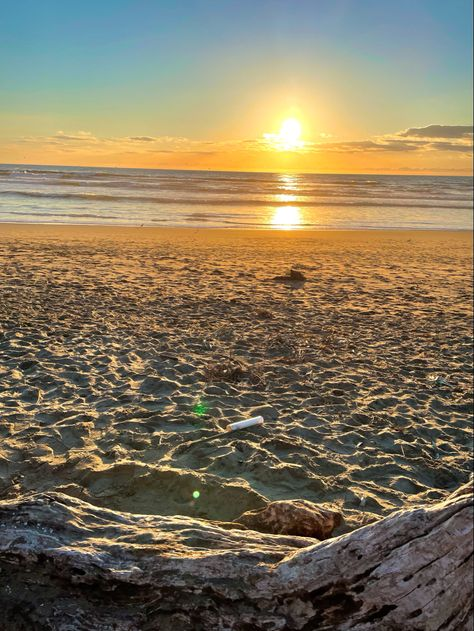 sophialodge_'s tweet photo. si hay sol hay playa. https://t.co/yxayxo4nYC