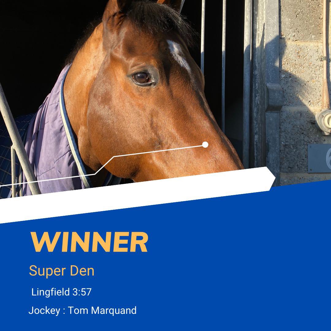 TJKentRacing's tweet photo. Winners! A double for the TJ Kent Team 🏆🐎

Obsidian Knight and Super Den under fantastic rides by Tom Marquand land our first double! Both horses have ran consistent races over there winter campaigns and deservedly get there success again today. 

Well done to all connections! https://t.co/tMQxEJ3qzE