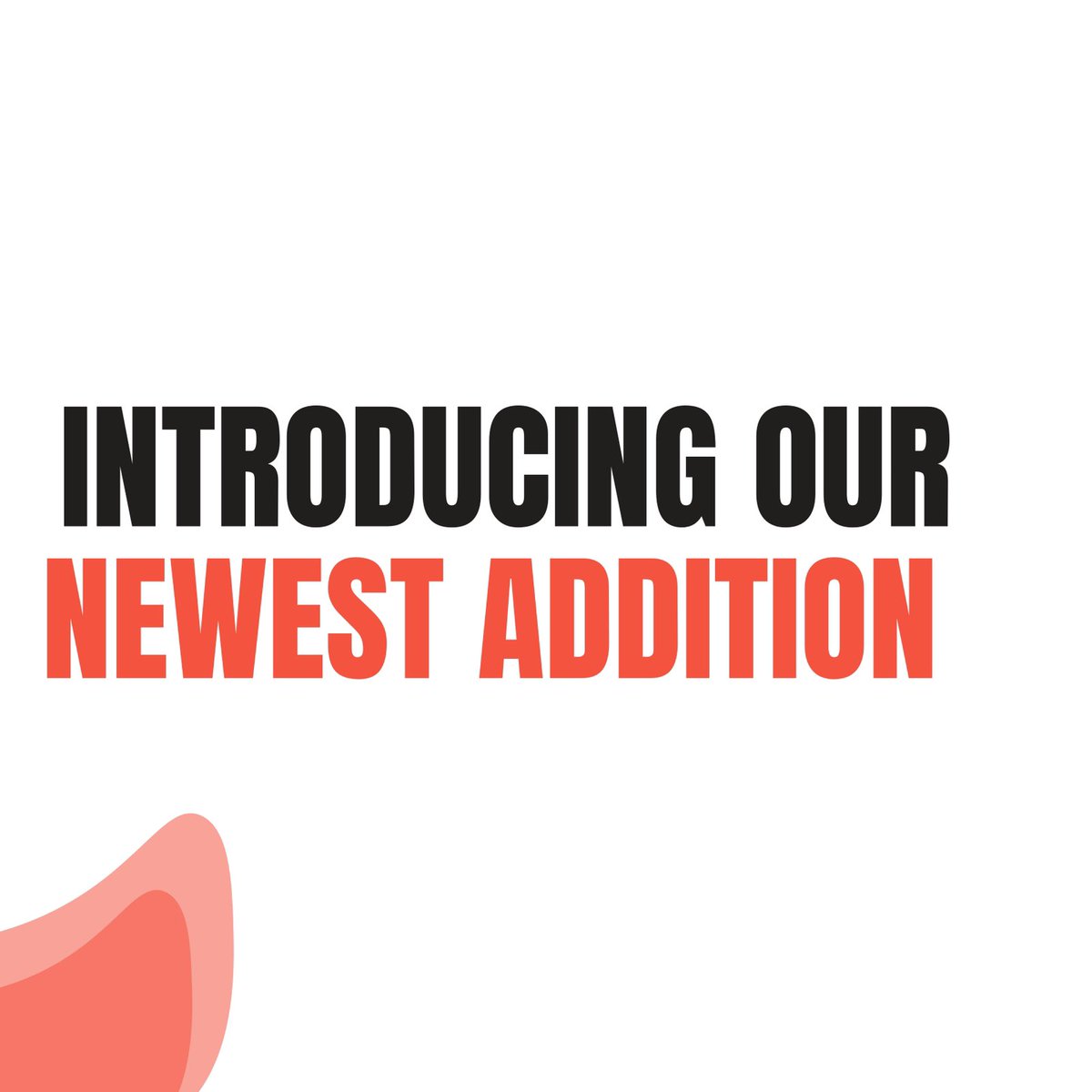 CryptoChainWire tweet media