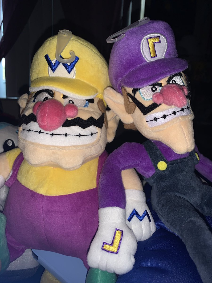 ShortFusedTempo's tweet photo. I got my two babies! 💛💜
#Wario #Waluigi #Nintendo https://t.co/0epLsqcTEz