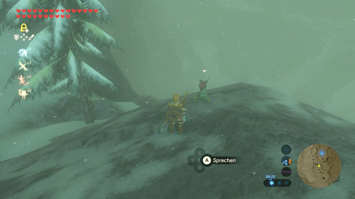 Hier wurde der Krog gefunden xD #BreathoftheWild #NintendoSwitch