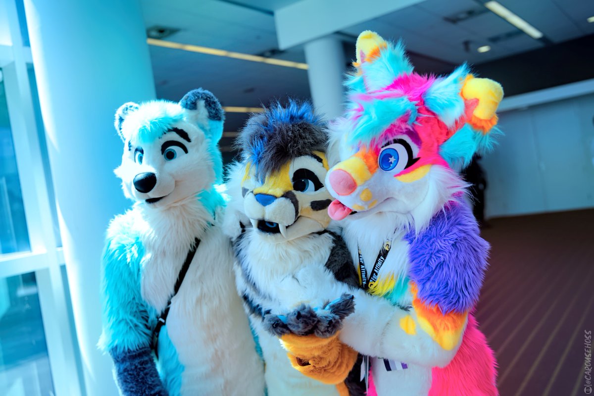 Sharing a sunny moment with @JazLehWolf and @SaberStripes from #AC2022

#FursuitEveryday