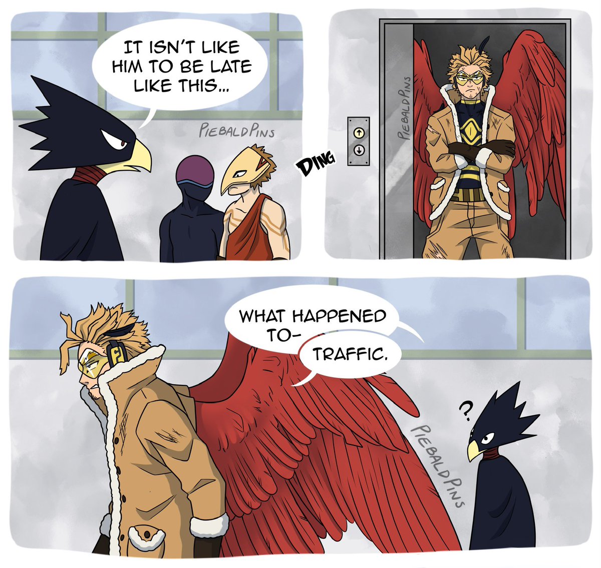 HC that local birds beef with Hawks for control of the airspace