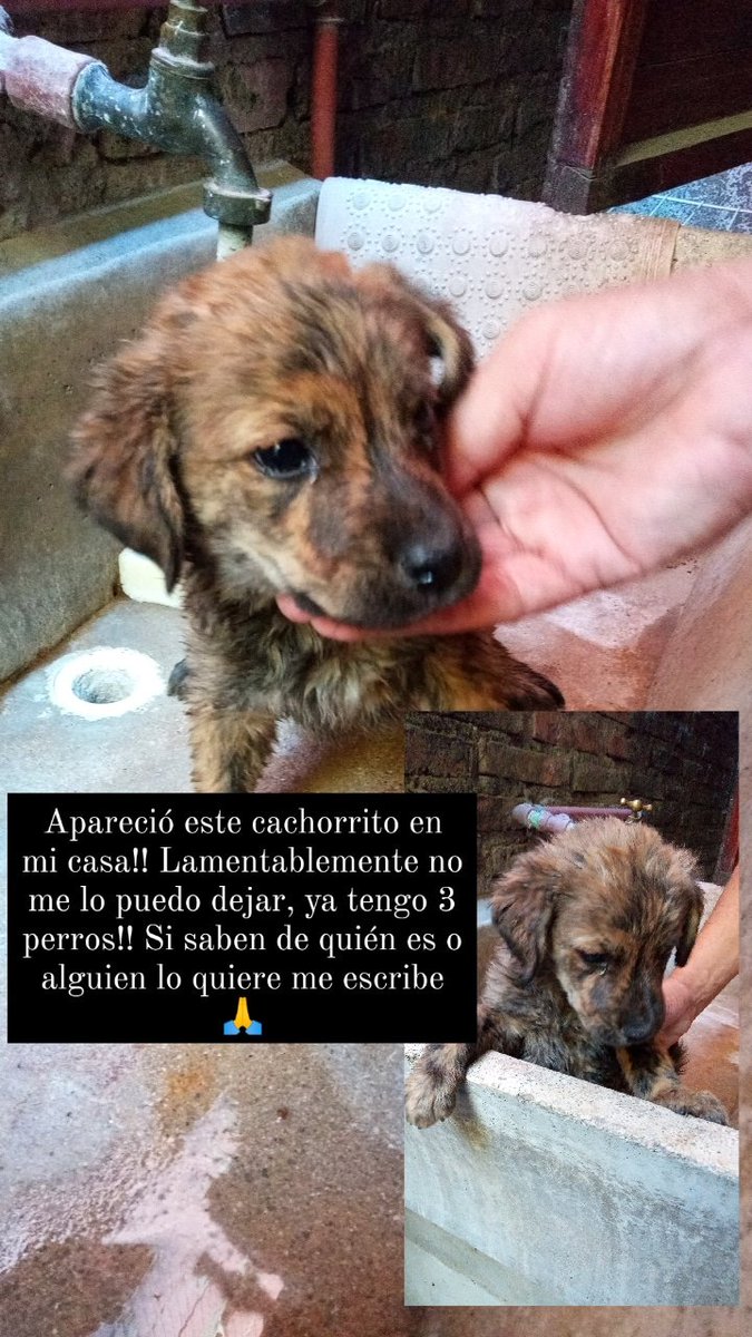Me pueden ayudar a difundir?? 🙏🙏