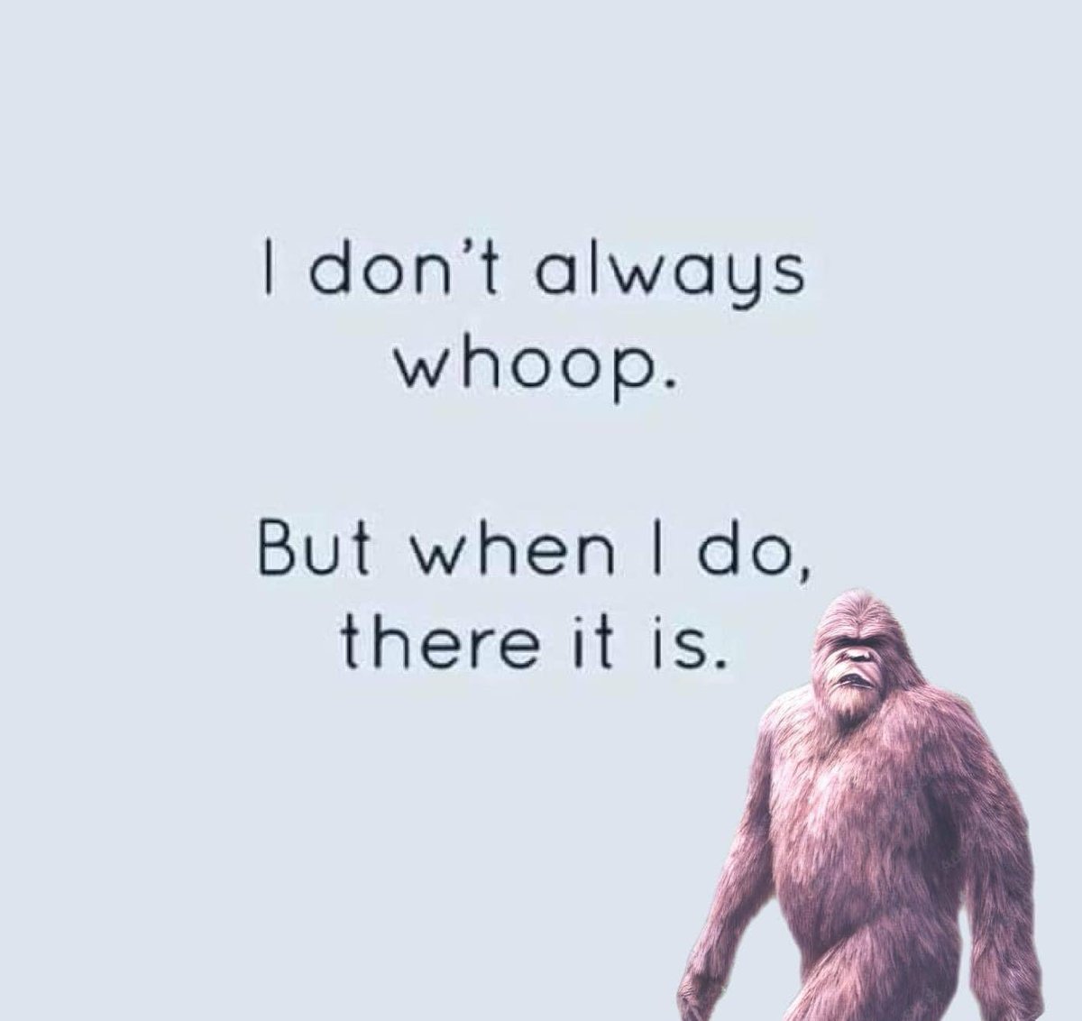 ParanormalNate's tweet photo. ππ #bigfoot #bigfoothumor https://t.co/QawGgbtUQD