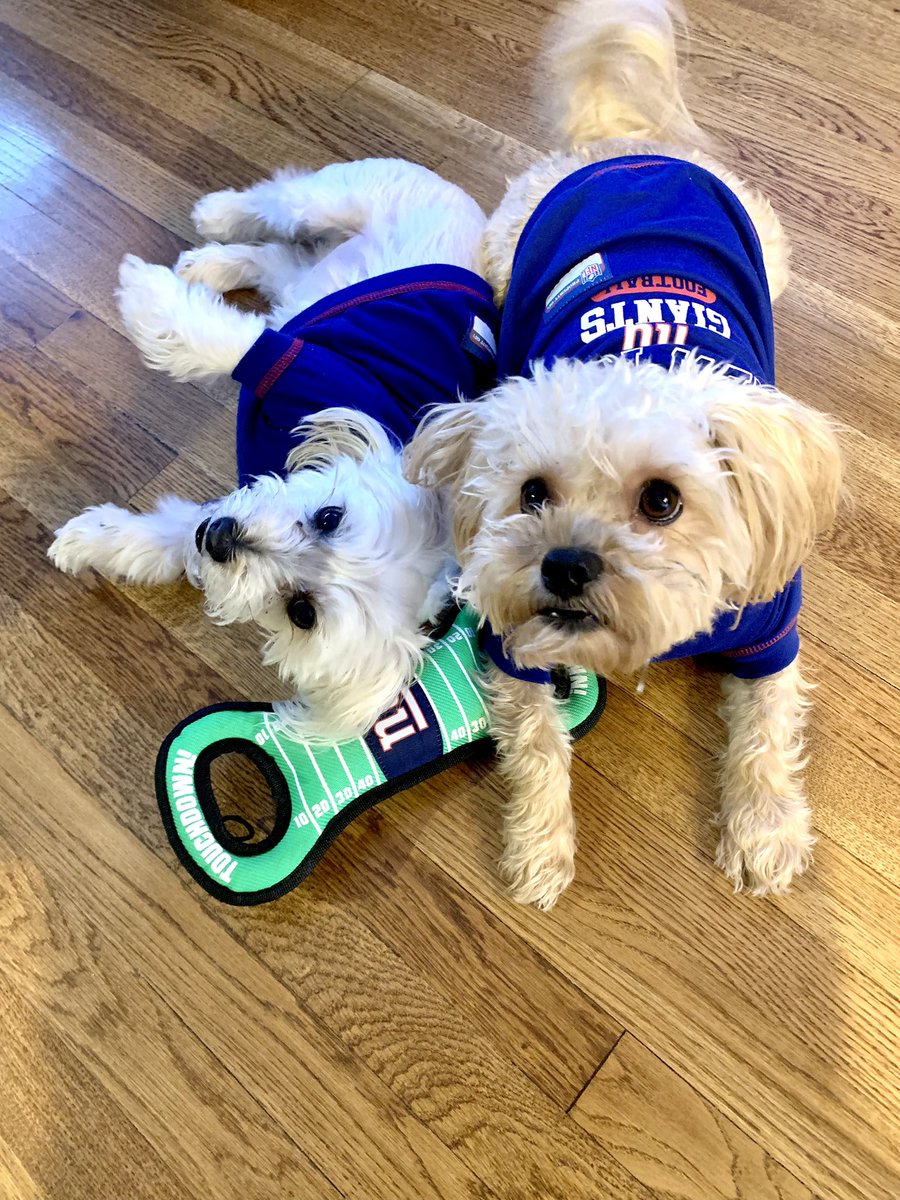 Rachelkantor's tweet photo. They are READY for tonight🏈 @Giants @NFL #NYGvsPHI #NYGiants #GiantsNation #TogetherBlue #OurWay https://t.co/OoyZkrJnhi