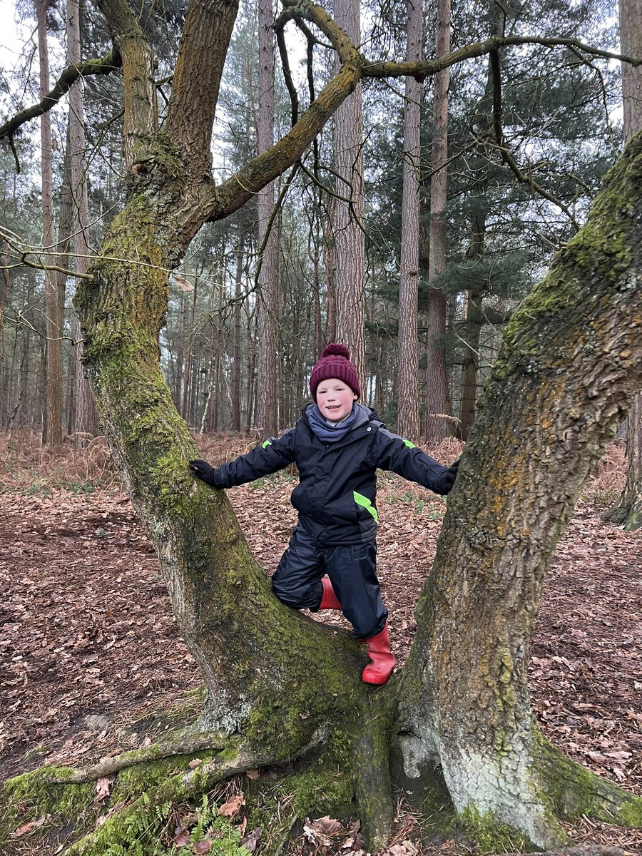 Wintertime 🥶 walks 💙