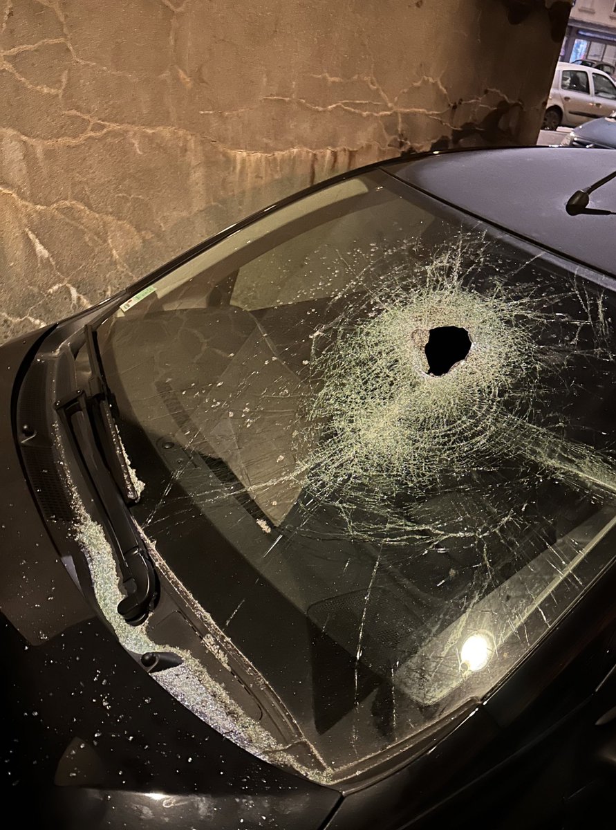 Negevist ♛ tweet media