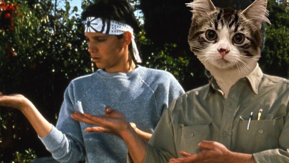 ColorMeAwesomer's tweet image. Our kitten Mr Meowgi