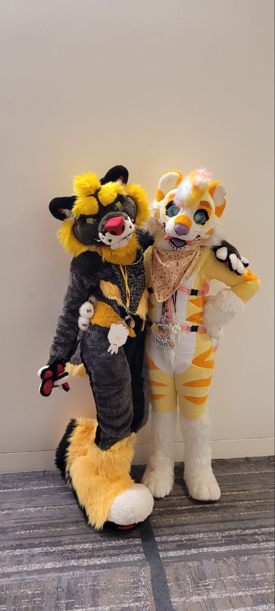 CactiMutt's tweet photo. Hey! You can call me Cacti/Kae! I'm a nonbinary fella who likes to draw and make fursuits!

💗partner is @mangle_arts
💗They/Them pronouns 
💗Sonas are Pebbles and Kenni

Suit/art prices and bases: 
https://t.co/RU8pobjCB3
Suit wip/comm Channel:
https://t.co/lH0j5SLV2G https://t.co/2U81KTGdId