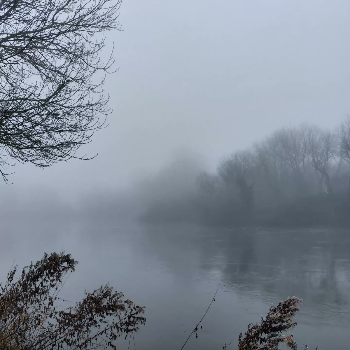 Livinteresting tweet media