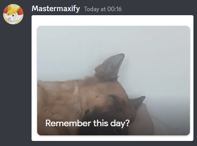 MastermaxifyOOC's tweet photo. https://t.co/29h6TWHDGP