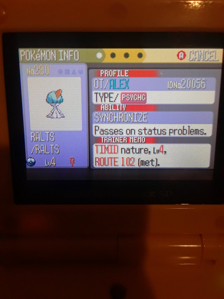 4% SHINY RALTS IN SAPPHIRE AFTER ONLY 200 ENCOUNTERS!!! I don't even know what to say i'm actually speechless... First shiny of 2023! :) #shinypokemon #fullodds