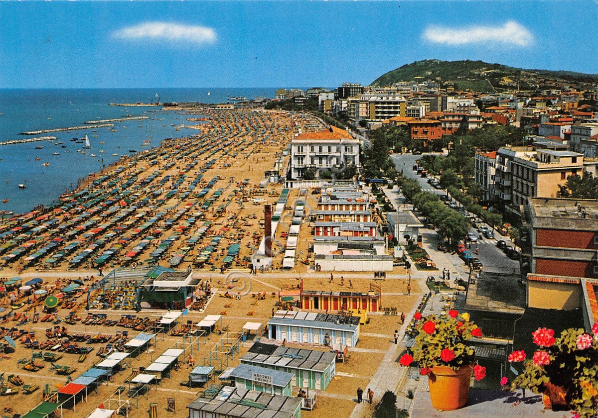 Sunday Miscellany tweet media