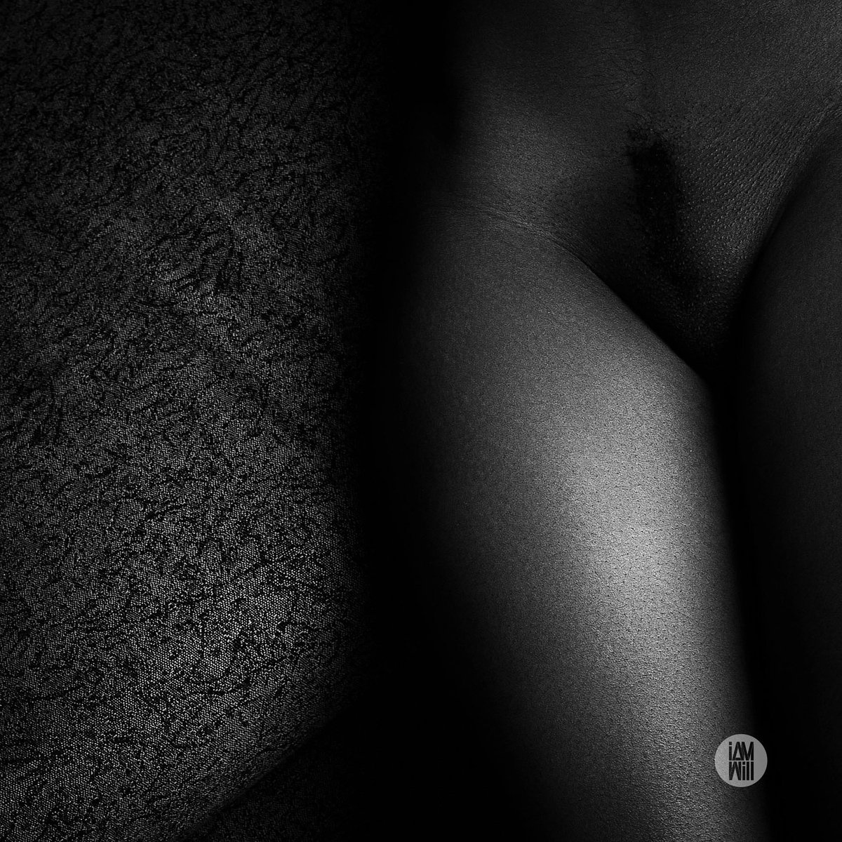 William_Quartz_'s tweet photo. A hidden treasure, a secret place,
curving gently, soft and smooth,
Where desires simmer, longing to embrace. 
A whisper of pleasure, a silent hush.
The promise of ecstasy, the gateway to sin
A forbidden fruit, a sweet desire
 #nudeisart #boudoirghana #nudeghana #williamquartey https://t.co/sjYvLMP8eB
