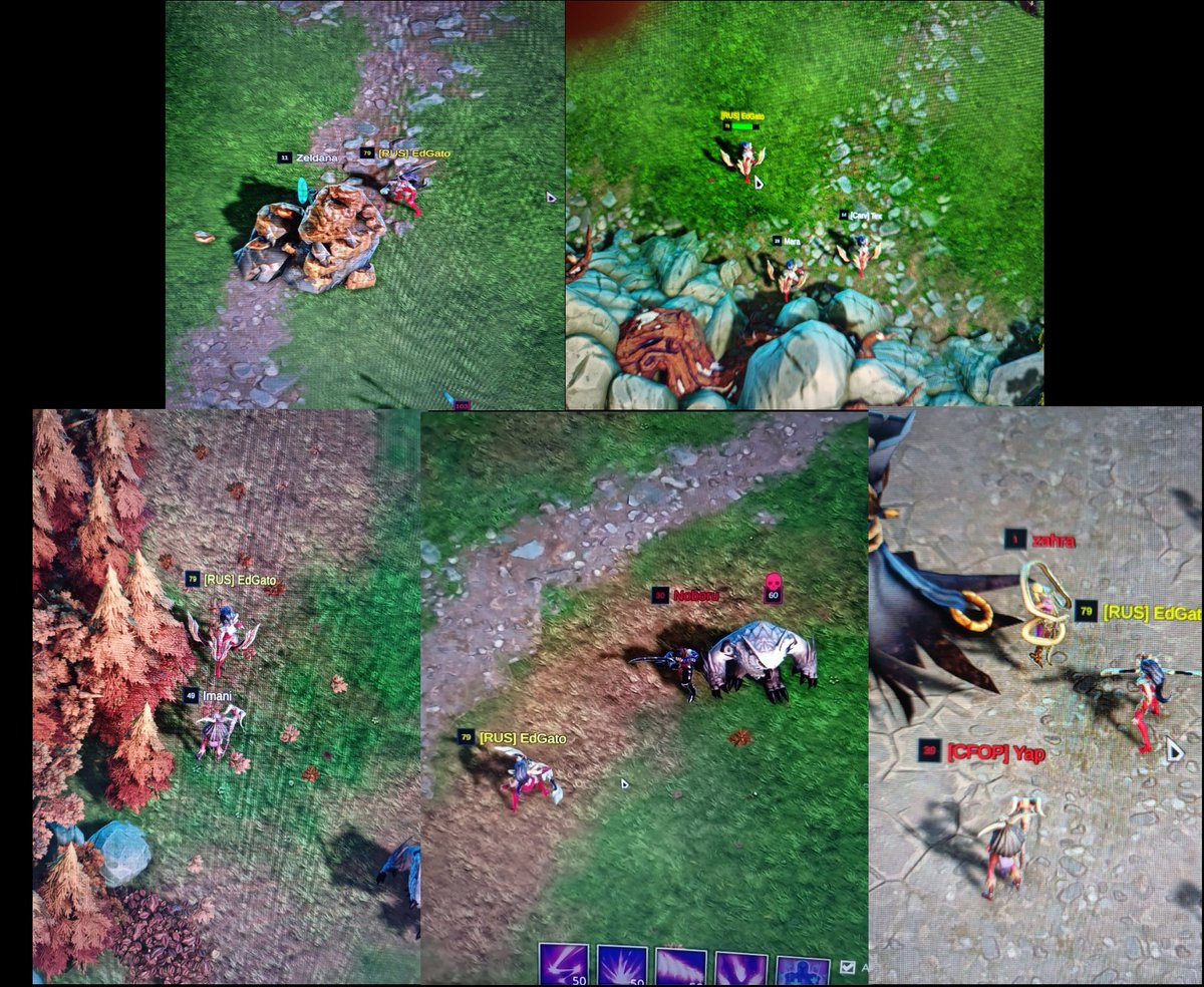 EdGato (@edgato73) / Posts / X