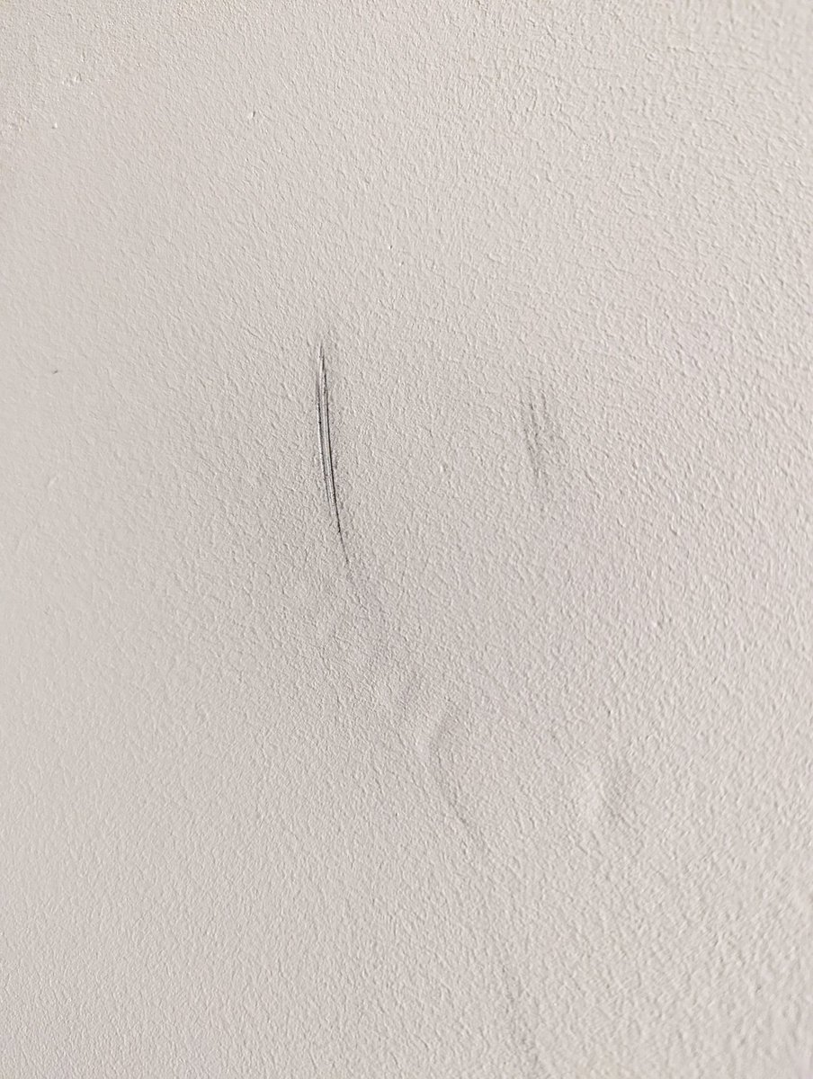 CallsignBronco's tweet photo. @HomeDepotCanada fridge finally delivered outside of our pickup window that I have to call for And what do we get for it? Our wall completely marked up. There are more pictures and video.  These are all different marks. This needs to be addressed. @CTV @CityNewsTO @CBC https://t.co/jR2ap3R0y8