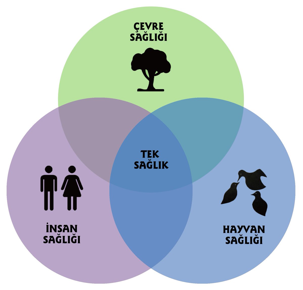 Tek Sağlık;  insanlar, hayvanlar ve çevre bakımından ideal sağlık elde etmek için farklı disiplinlerin işbirlikçi çalışmasıdır.  #TekSağlık konseptinin ayrılmaz bir parçası olan #VeterinerHekim lerin kamuya istihdamı artırılmalıdır. 
#TekSağlık5BinVeterinerHekim