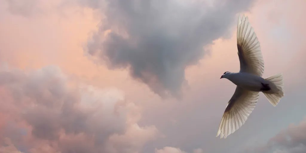 LornaByrne's tweet photo. Everyday, and especially when you're feeling down, look at your life and recognize all the wonderful things in it. Your guardian angel is with you every single moment and is trying to get you to notice all the wonderful parts of your life.
Blessings Lorna
#wonderfulthings https://t.co/nrkQpiKHlW