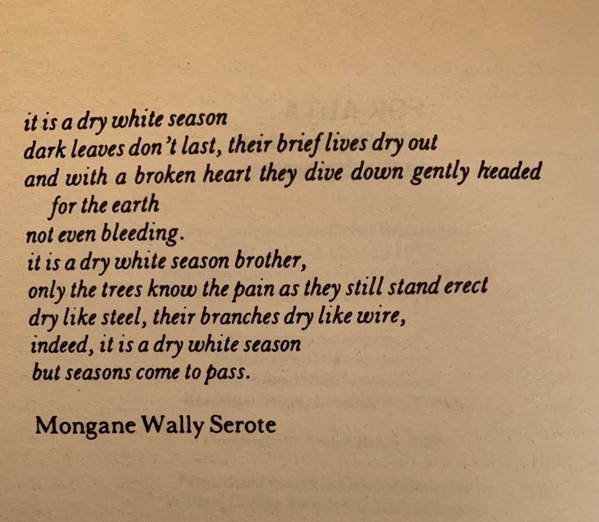 AJOpperman's tweet photo. Dié gedig deur Mongane Wally Serote verskyn voorin A Dry White Season, ‘n Engelse vertaling van André P. Brink se roman ‘n Droë wit seisoen.
#MonganeWallySerote #AndréPBrink #ADryWhiteSeason #nDroëwitseisoen #skrywersenboek #letterkunde #gedigte #poems #poetry #novels https://t.co/tFmWuzMlbX