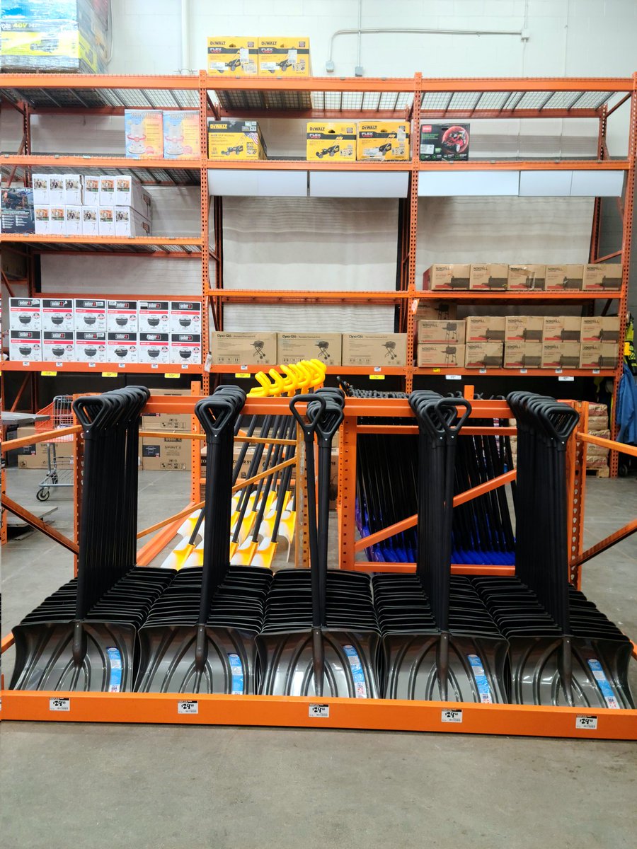 Ashley Weeda tweet media