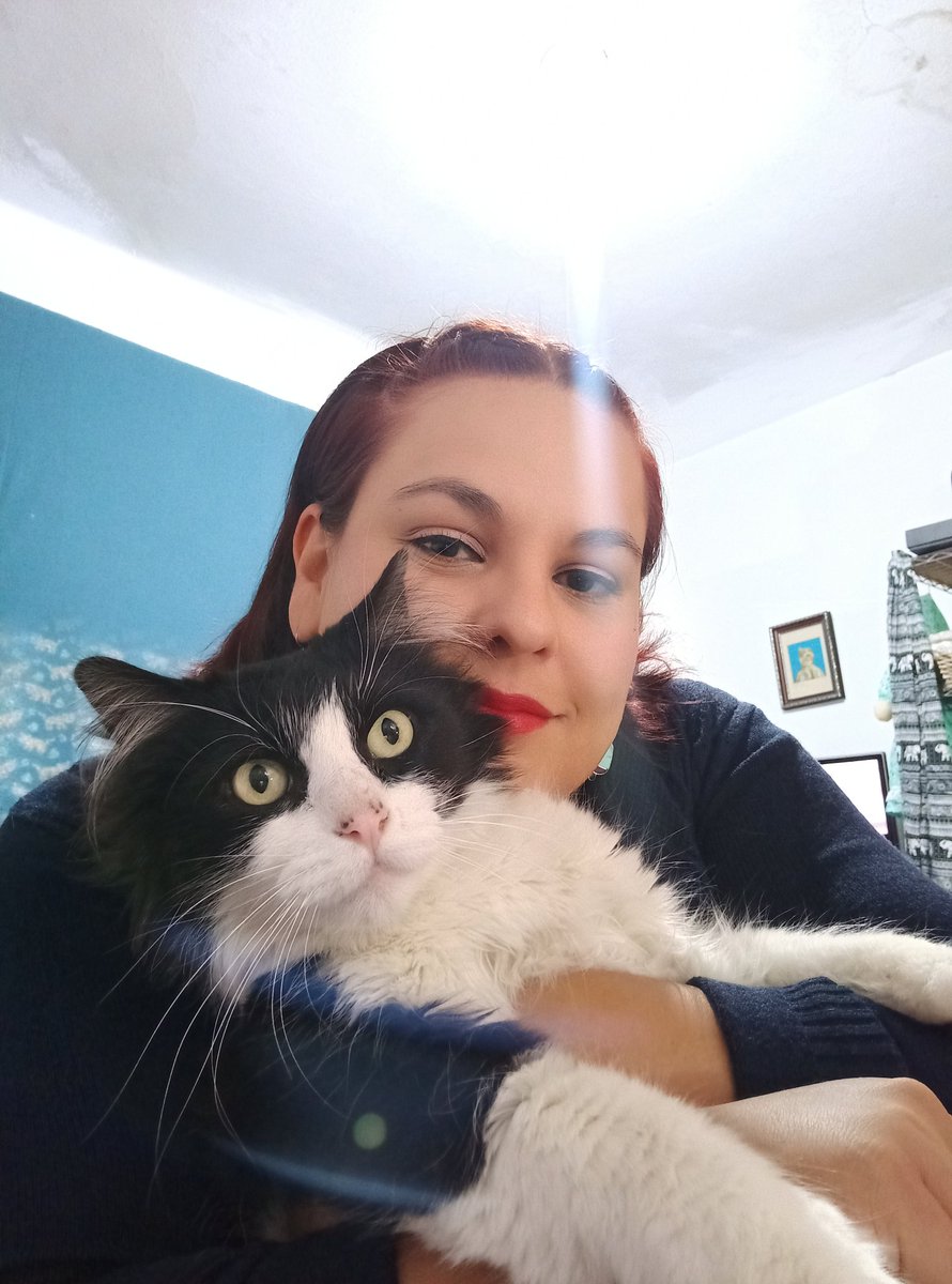 ItzelHermida's tweet photo. #DíaDelAbrazo 🫂
La mayoría de los #gatos son abrazados en contra de su voluntad 😼
#Conchito https://t.co/fcmJzNsSef