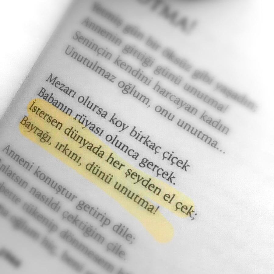 İstersen dünyada her şeyden el çek; bayrağı, ırkını, dünü unutma!

- Nihal Atsız