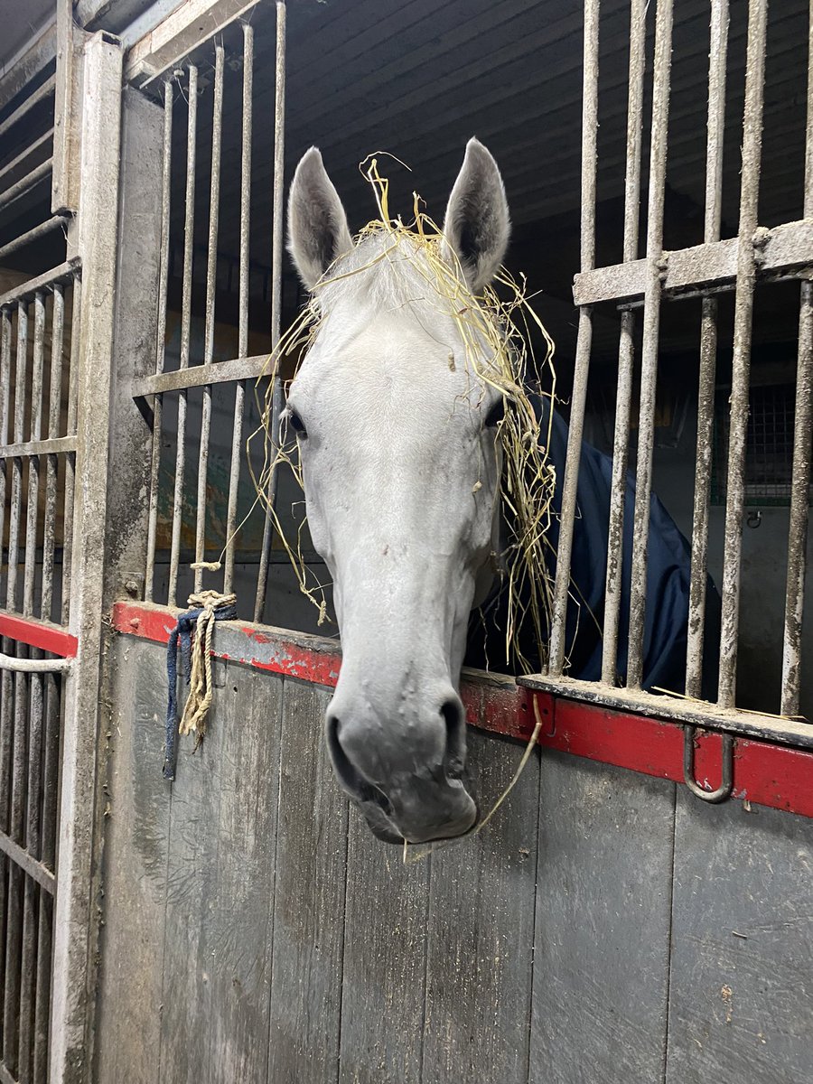 Susanne Berneklint tweet media