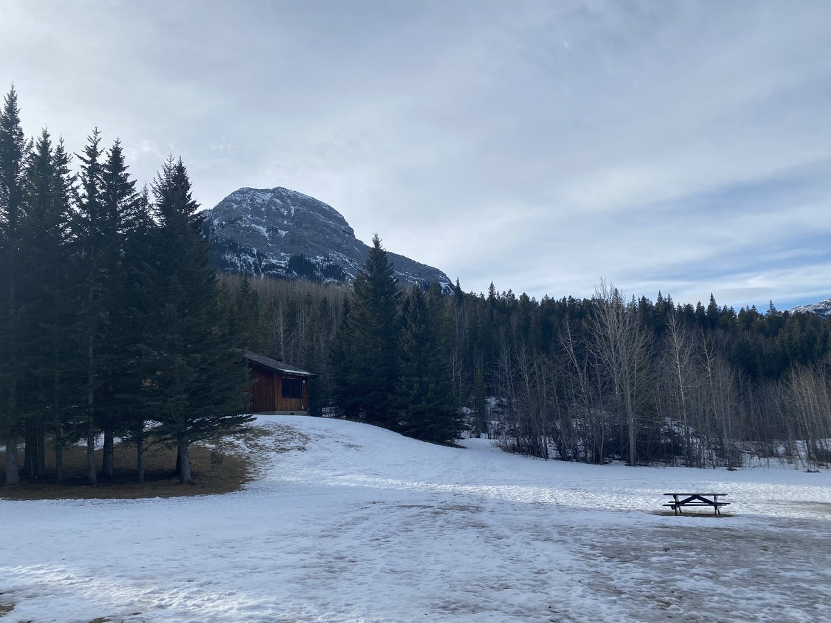 moriah deimeke tweet media