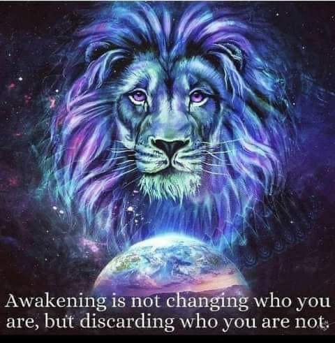 mysilentamy's tweet photo. Release the old and embrace the new! 2023 is the year for change. Think bigger with your vision. ๐๐๐๐๐๐๐๐๐ #Manifestation #InnerStrength #AAMichael #AgeofAquarius #Change #LoveisAlwaystheAnswer #Releasewhatnolongerservesyou https://t.co/LqdeURxpf3