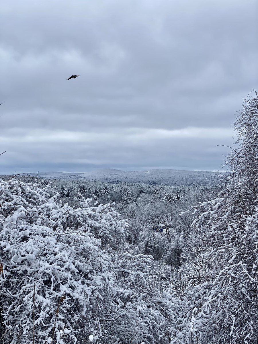 Snowy Fitchburg Hills 

❄️ Fitchburg, Massachusetts 

#winterwx #mawx #snowyhills #fitchburg #massachusetts #newengland #snow #weather #winter #centralmass