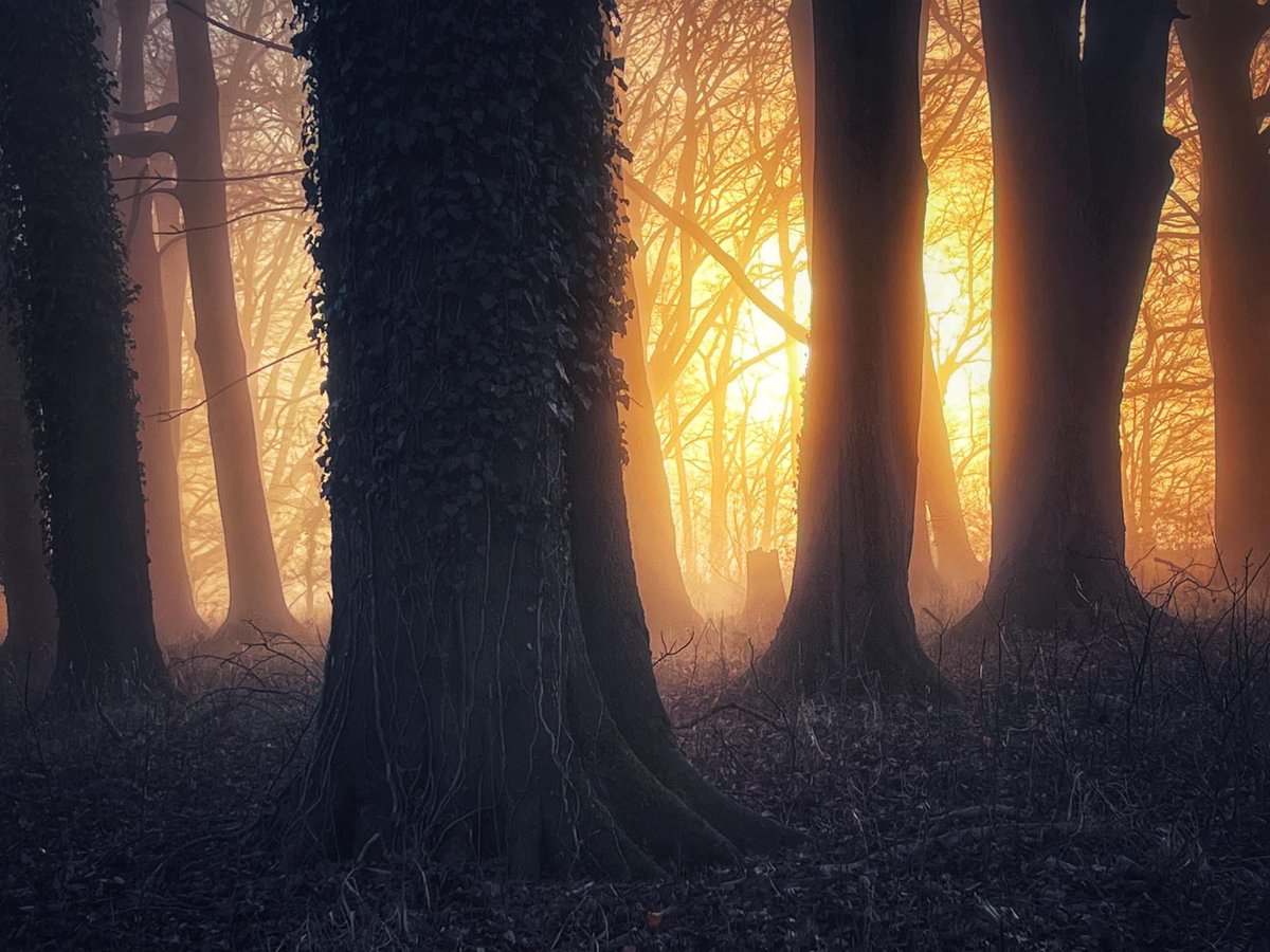 SecureGuard_247's tweet image. Stunning walks today