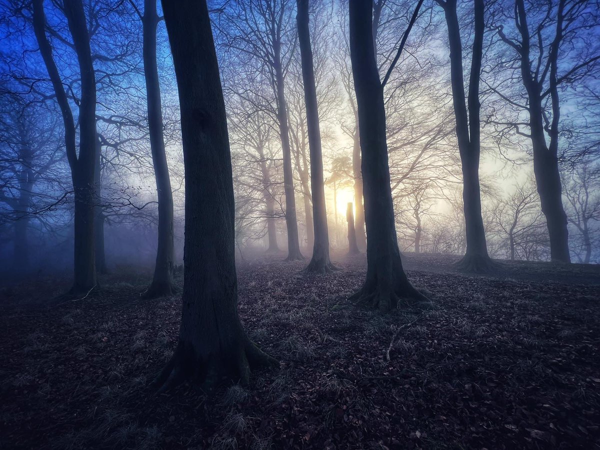 SecureGuard_247's tweet image. Stunning walks today