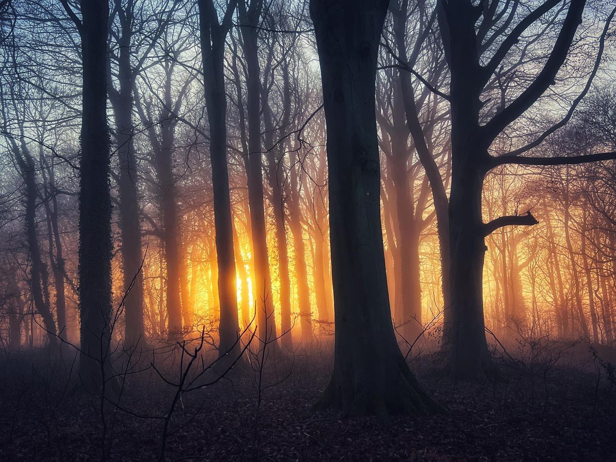 SecureGuard_247's tweet image. Stunning walks today